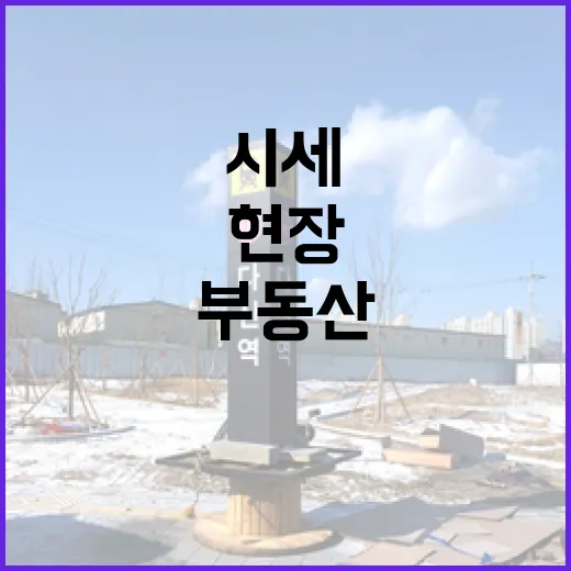 부동산시세 직접 찍어보러 다녔더니, 네이버 숫자랑 현장이 달랐던 이야기 - 요약