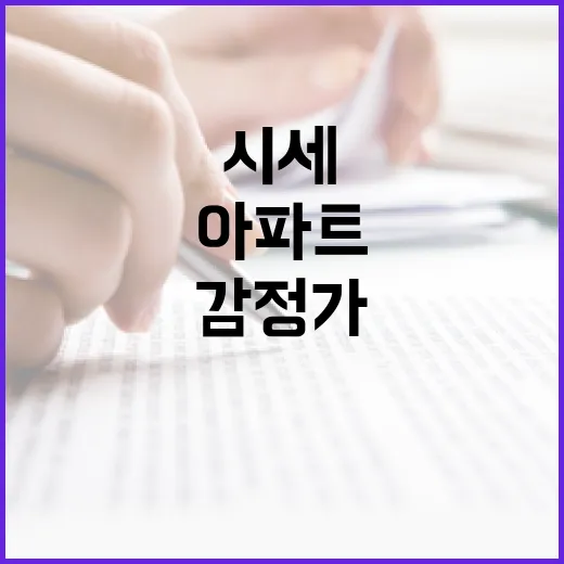 아파트시세 직접 찍어보니, 감정가보다 현장이 먼저 말하더라 - 요약