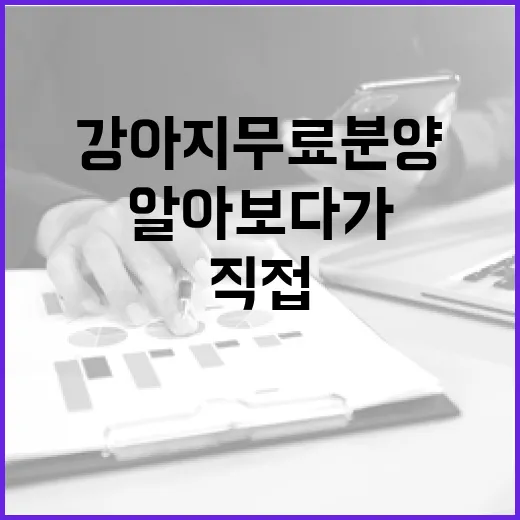 강아지무료분양 직접 알아보다가 계약서부터 다시 본 이야기 - 요약