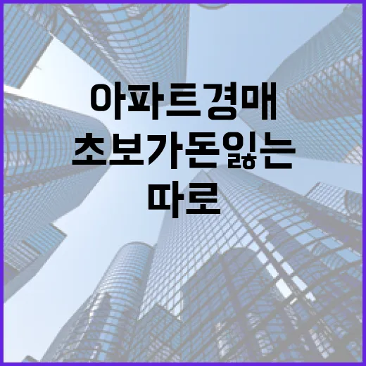 아파트경매 직접 뛰어보니 초보가 돈 잃는 지점은 따로 있었습니다 - 요약