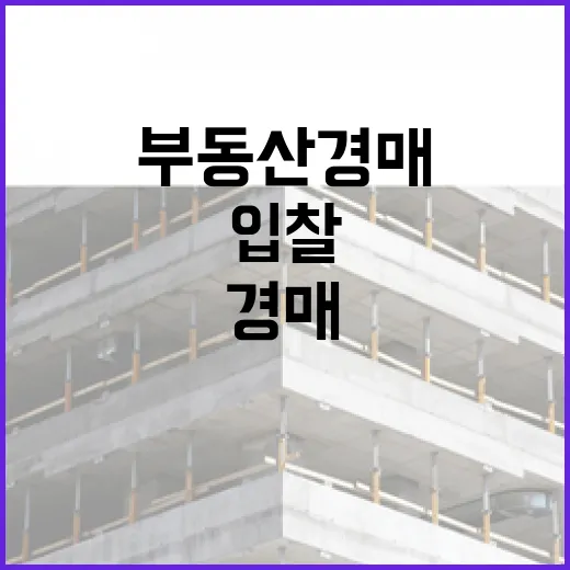 부동산경매사이트만 믿고 입찰했다가 현장에서 식은땀 난 이야기 - 요약