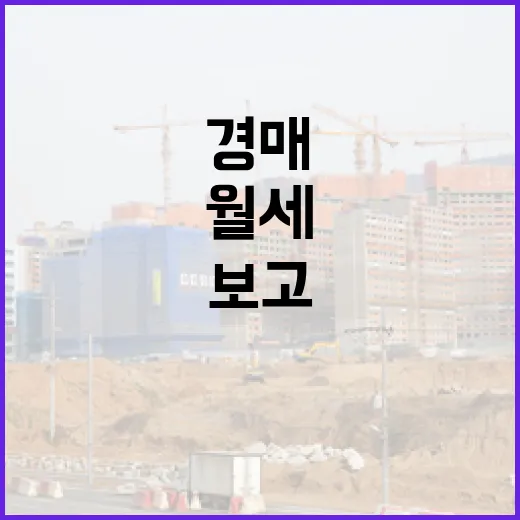 월세 보고 경매 들어갔다가 숫자 다시 세어본 이야기 - 요약