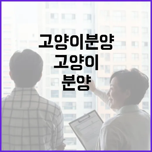 고양이분양 알아보다가 집 보듯 따져봤더니 보인 진짜 비용과 함정 - 요약