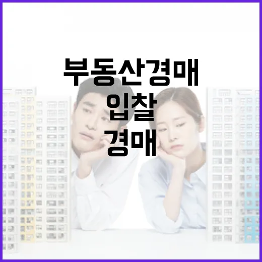 부동산경매사이트만 믿고 입찰했다가 현장에서 식은땀 난 이야기 - 요약