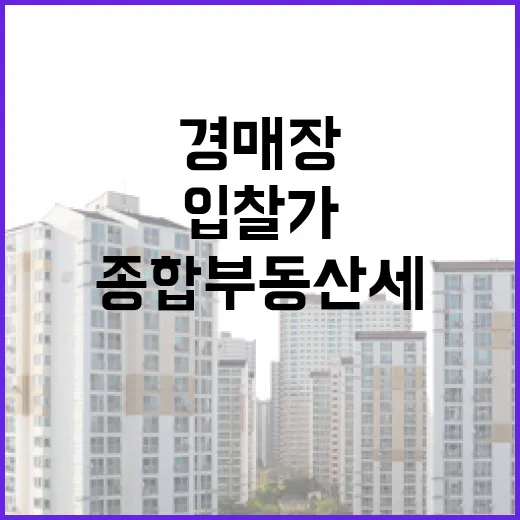 법원 경매장에서 종합부동산세 때문에 입찰가를 다시 낮췄던 이야기 - 요약