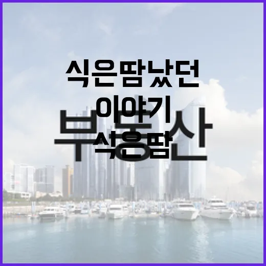 법원경매정보만 믿고 입찰장 갔다가 식은땀 났던 이야기 - 요약