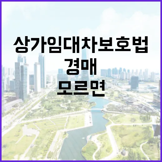 상가 경매 물건 직접 뒤져봤더니, 상가임대차보호법 모르면 입찰가가 달라집니다 - 요약