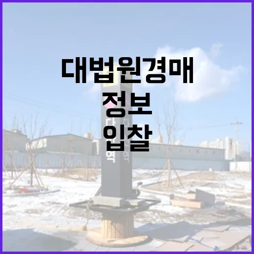 대법원경매정보만 믿고 입찰했다가 현장에서 식은땀 난 이야기 - 요약