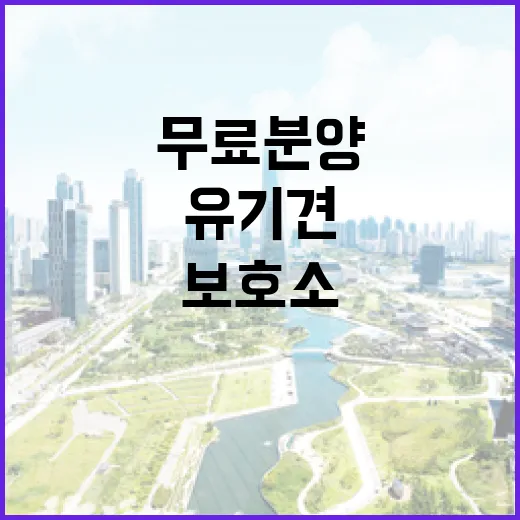 유기견무료분양 알아보다가 보호소까지 직접 가본 이야기 - 요약