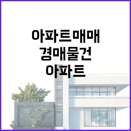 아파트매매하려다 경매 물건까지 같이 봐봤더니 보인 것들 - 요약