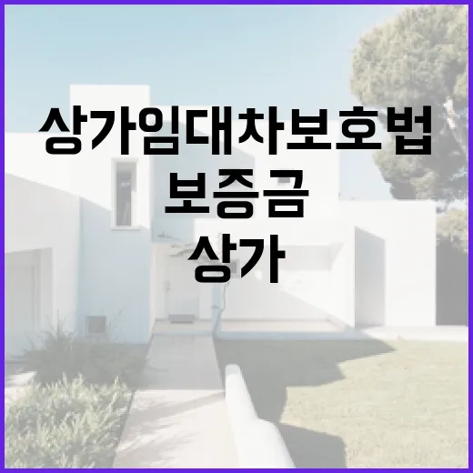 상가임대차보호법 믿고 상가 입찰했다가 보증금 순서에서 식은땀 난 이야기 - 요약