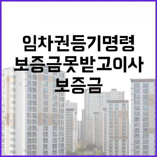 보증금 못 받고 이사해야 해서 임차권등기명령 걸어본 진짜 이야기 - 요약