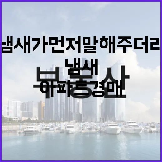 낡은 아파트 경매에 직접 들어가 봤더니 숫자보다 냄새가 먼저 말해주더라 - 요약