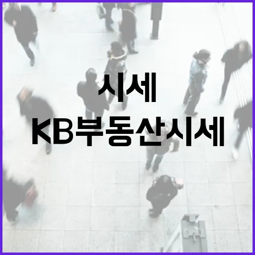 KB부동산 시세만 믿고 입찰했다가 현장에서 다시 계산해본 이야기 - 요약