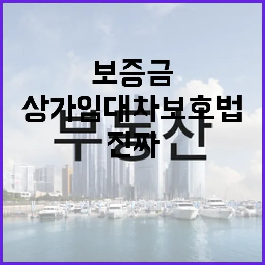 상가임대차보호법 믿고 입찰했다가 보증금 떠안는 사람들, 현장에서 본 진짜 이야기 - 요약