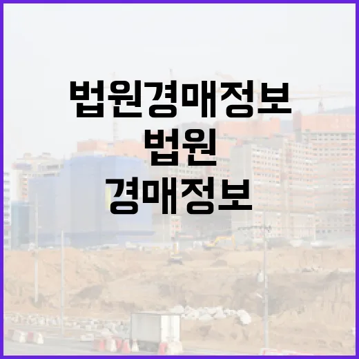 법원경매정보만 믿고 입찰했다가 식겁했던 이야기 - 요약