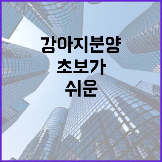 강아지분양 직접 상담 따라가 봤더니, 초보가 놓치기 쉬운 진짜 비용 - 요약