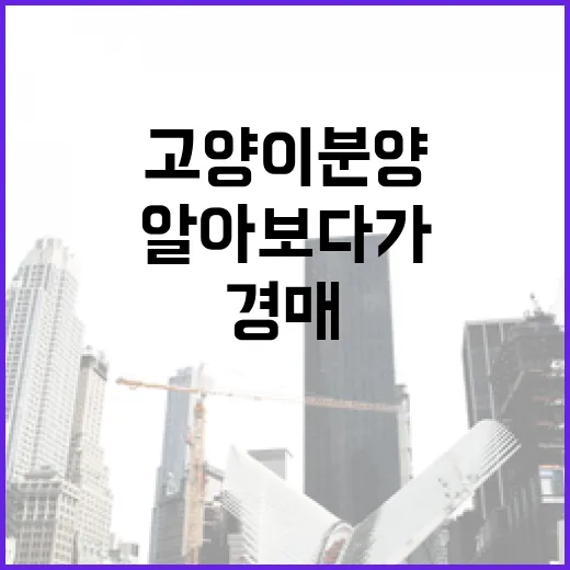 고양이분양 직접 알아보다가 경매 권리분석보다 더 꼼꼼해야겠다고 느낀 이야기 - 요약