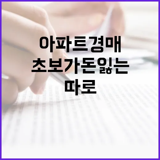 아파트경매 직접 뛰어보니 초보가 돈 잃는 지점은 따로 있었습니다 - 요약