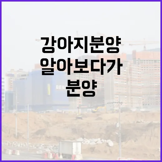 강아지분양 직접 알아보다가 경매 물건 보듯 따져본 진짜 이야기 - 요약