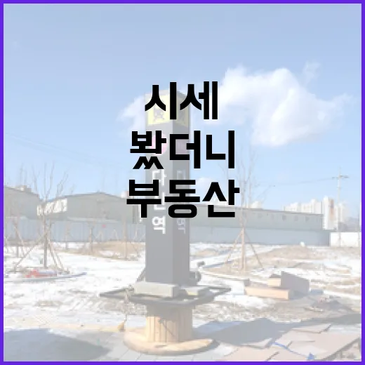 부동산시세 직접 찍어봤더니, 입찰가가 달라졌던 현장 이야기 - 요약
