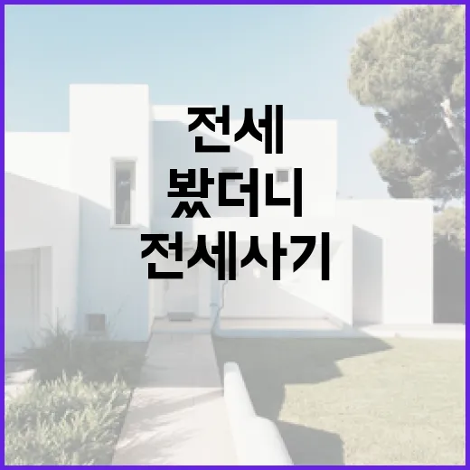 전세사기 물건 경매장에서 직접 봤더니, 숫자보다 먼저 봐야 할 것들 - 요약