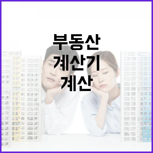 부동산계산기만 믿고 입찰했다가 현장에서 다시 계산한 이야기 - 요약