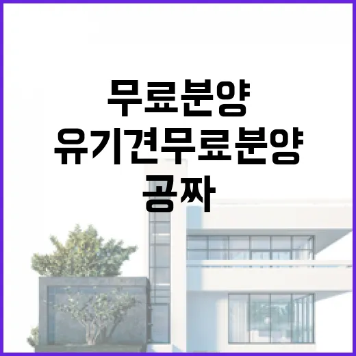 유기견무료분양 직접 알아봤더니, 공짜라는 말 뒤에 숨어 있던 진짜 비용 - 요약