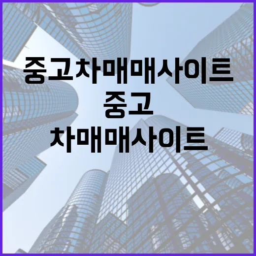 경매 현장 다니며 중고차매매사이트로 차를 바꿔봤더니 보인 것들 - 요약