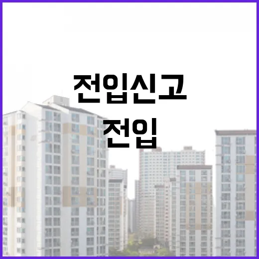 전입신고 하루 차이로 배당이 갈린 집, 주택임대차보호법을 현장에서 다시 본 후기 - 요약