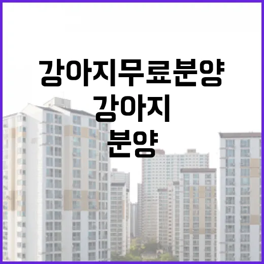 강아지무료분양 글만 믿고 움직였다가 비용표 다시 써본 이야기 - 요약