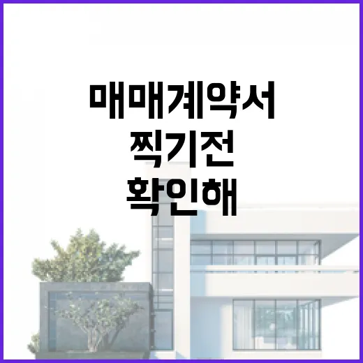 주택매매 계약서 찍기 전에 경매 투자자가 먼저 확인해본 진짜 이야기 - 요약