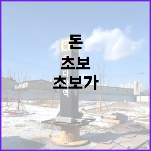 시골집임대 직접 알아보다가 초보가 놓치는 돈 문제까지 봤습니다 - 요약