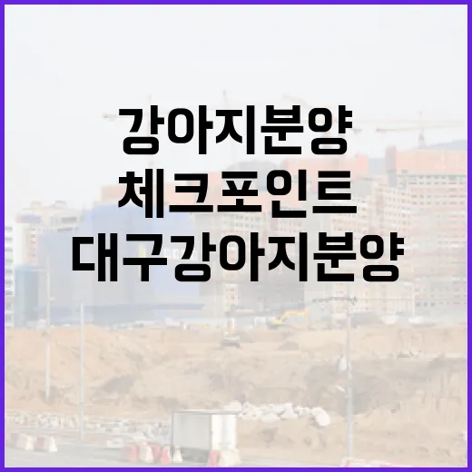 대구강아지분양 직접 발품 팔며 느낀 진짜 체크포인트 - 요약
