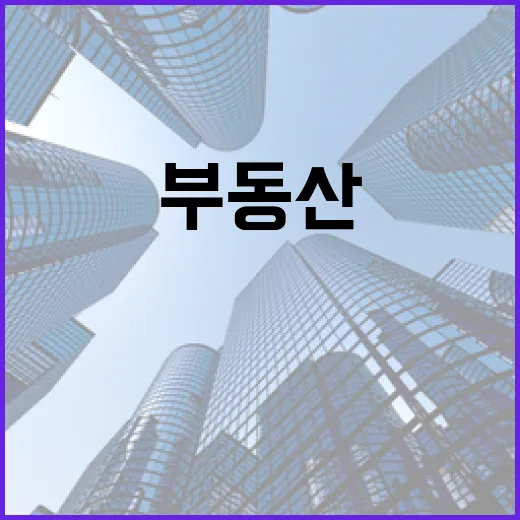 부동산매물 30개 뒤져보고 입찰장까지 갔더니 보인 진짜 위험 신호 - 요약