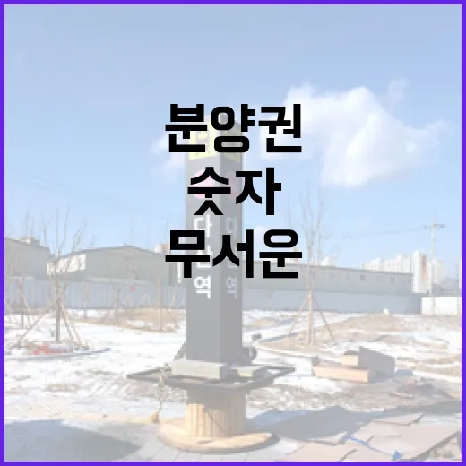 분양권 물건 따라가 봤더니, 숫자보다 무서운 건 계약서 한 줄이었습니다 - 요약