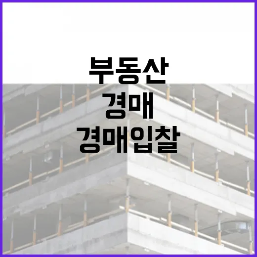 부동산어플만 믿고 경매 입찰했다가 현장에서 식은땀 난 이야기 - 요약