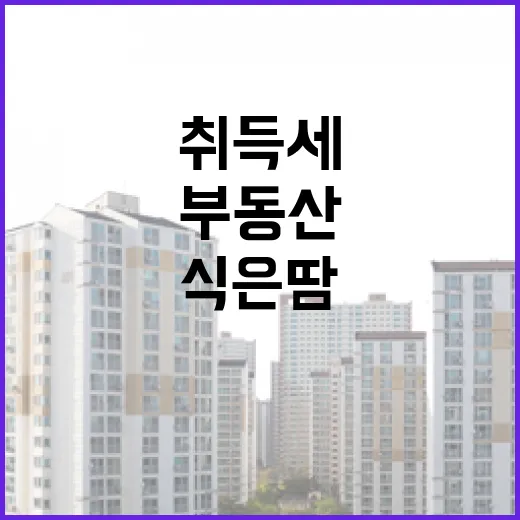 낙찰가만 보고 들어갔다가 부동산취득세에서 식은땀 난 이야기 - 요약