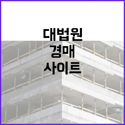 대법원경매사이트만 믿고 입찰했다가 현장에서 식은땀 난 이야기 - 요약