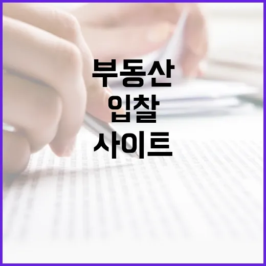 부동산사이트만 믿고 입찰했다가 현장에서 식은땀 난 이야기 - 요약