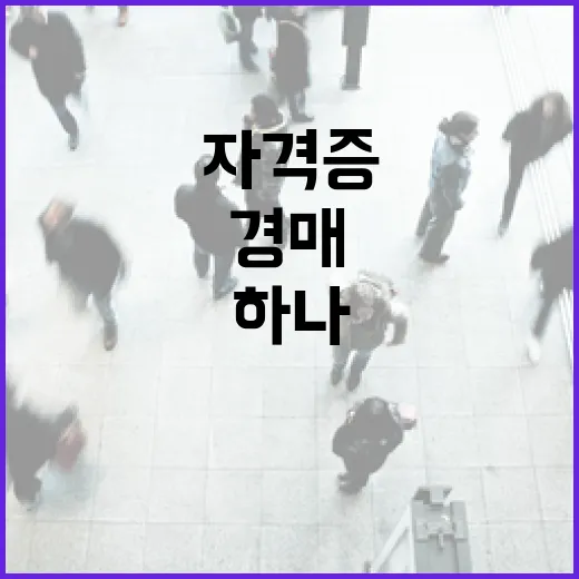 경매자격증 따야 하나 싶어 강의장과 입찰장을 오가며 느낀 진짜 이야기 - 요약