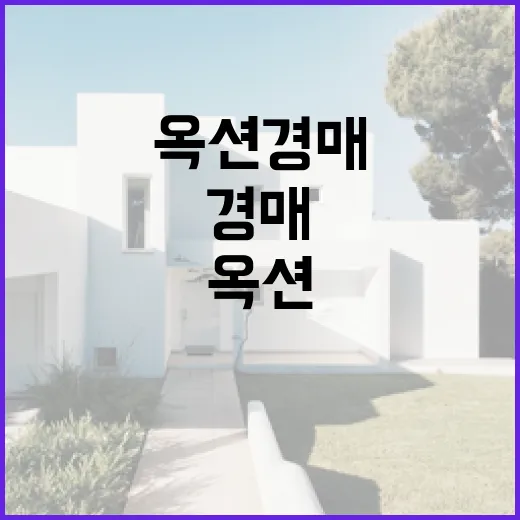 옥션경매 물건 직접 따라가봤더니, 클릭 몇 번보다 무서운 건 현장이었다 - 요약