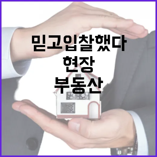 부동산실거래만 믿고 입찰했다가 현장에서 식은땀 난 이야기 - 요약