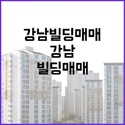 강남빌딩매매 물건을 직접 따라가 봤더니, 숫자보다 먼저 보이는 것들 - 요약