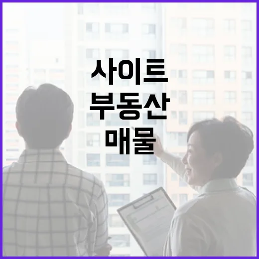 부동산매물사이트만 믿고 현장 갔다가 허탕 친 날의 진짜 이야기 - 요약