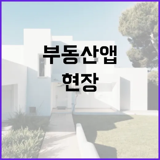 부동산앱만 믿고 입찰했다가 현장에서 식은땀 난 이야기 - 요약