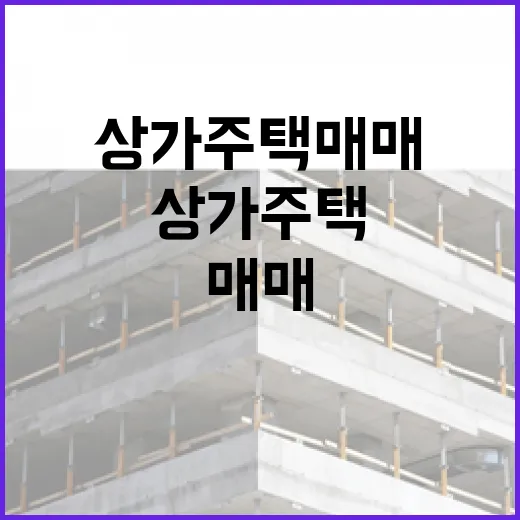 상가주택매매 계약 직전까지 가봤더니, 숫자보다 무서웠던 것들 - 요약