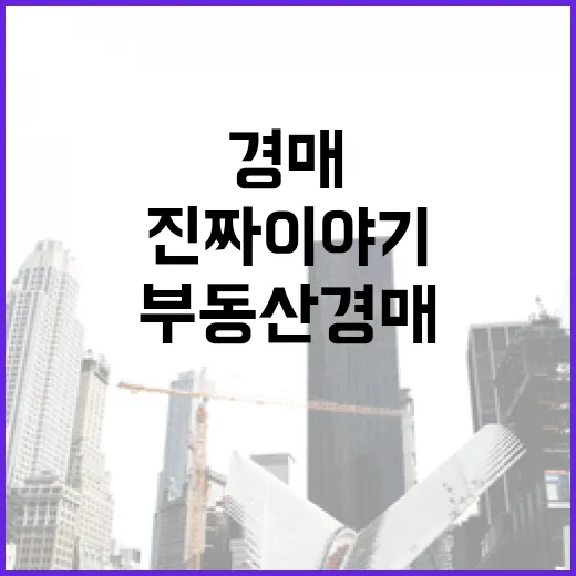 부동산경매자격증 따면 입찰이 쉬워질까, 현장에서 직접 겪어본 진짜 이야기 - 요약
