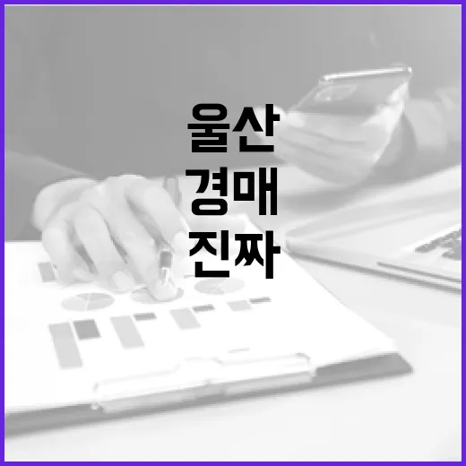 임야매매 물건 몇 번 따라가 봤더니, 싸다는 말만 믿으면 안 되더라 - 요약