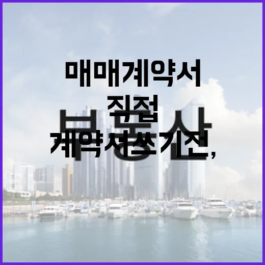 땅매매 계약서 쓰기 전, 현장에서 직접 확인하고 손해 피한 이야기 - 요약